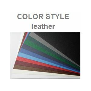 Color Style leather - kůže