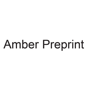 Amber Preprint