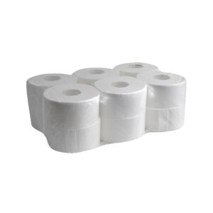 Toaletní papír JUMBO 240 2-vrstvá celulóza 170 m 6 RL